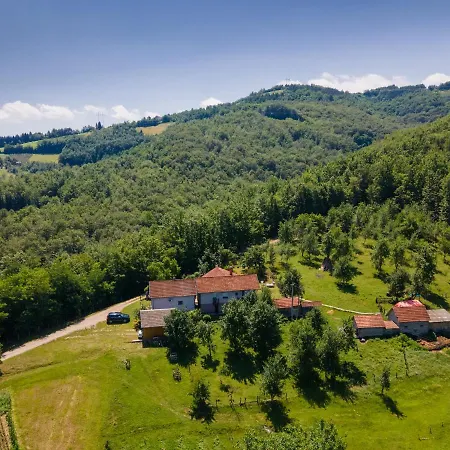 Kuca Za Odmor Dm Villa Bajina Basta Exterior photo
