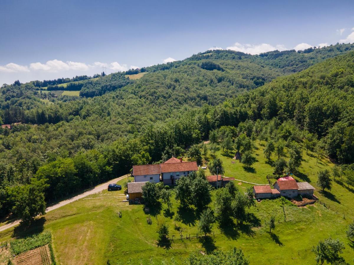 Holiday home Kuca Za Odmor Dm Bajina Basta